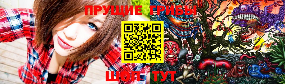 Галлюциногенные грибы Magic Shrooms  Псилоцибиновые грибы Psilocybe  где найти   Гусь-Хрустальный  Вход с VPN 